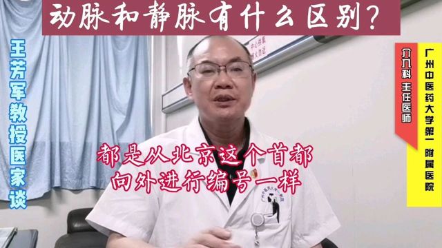 动脉和静脉有什么区别?