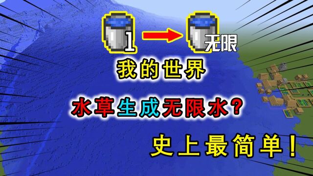 我的世界:史上最简单的一桶水变无限水,全程仅需骨粉和水草