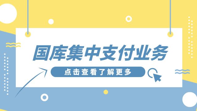 注册会计师CPA会计:国库集中支付业务