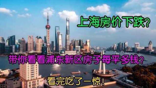 上海房价下跌?带你看看浦东新区房子每平多钱,看完吃了一惊!