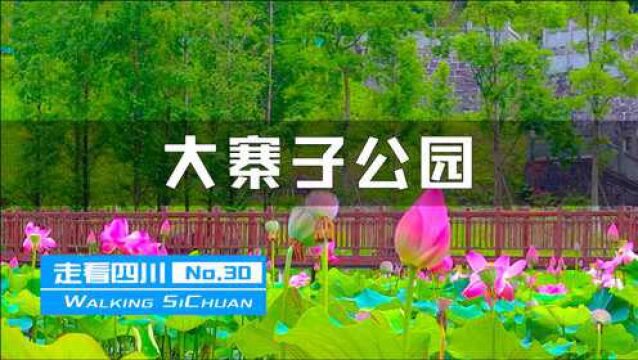 走看四川30:达州三大公园之一的高地山体公园,山上却盛开着荷花