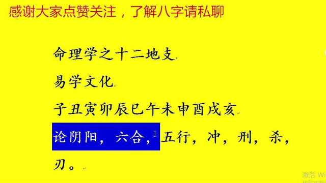 子平命理学之十二地支详解