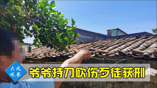 海南8岁男童被陌生人掐脖劫持,七旬老人持刀救孙被拘,法院判了