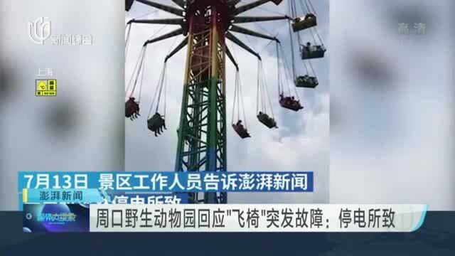 周口野生动物园回应“飞椅”突发故障:停电所致