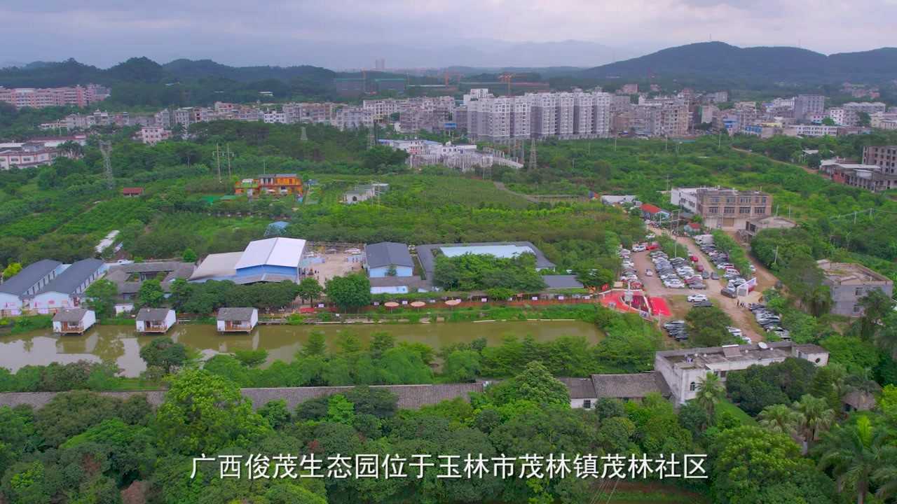 广西俊茂生态园位于玉林市茂林镇茂林社区古城村大岭果场距离玉林市