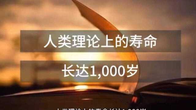 人类理论上可以活到1000岁?