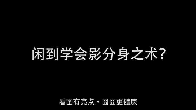 疫情原因动物园网络直播云吸动物…没想到动物没火,饲养员先火了