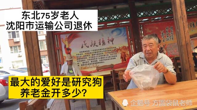 东北沈阳75岁老人市运输公司经理退休,退休金开多少?攒了多少钱