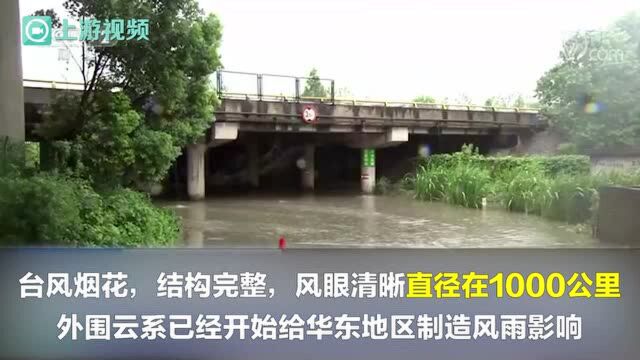 渝视频丨台风烟花在浙江舟山普陀区登陆