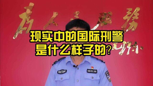 现实中的国际刑警是什么样子的?