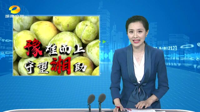 (“豫”难而上 守望“湘”助)一份李子一份情 居民纷纷献爱心