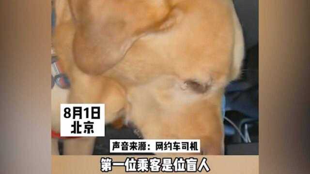 温暖一幕!盲人带导盲犬坐车,拼车乘客回答令人暖心