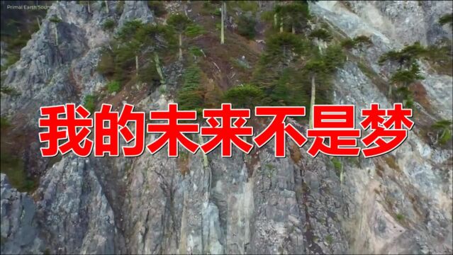 经典老歌:《我的未来不是梦》歌曲旋律动听优美,歌词有诗情画意