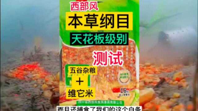 鱼饵界的大佬