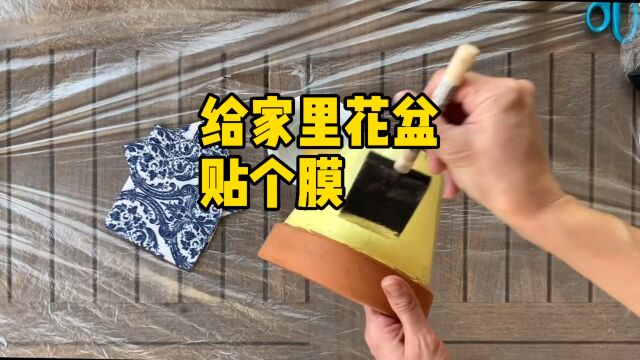 在外面捡了几个花盆,拿回去刷上颜色贴上膜,让盆栽美上加美