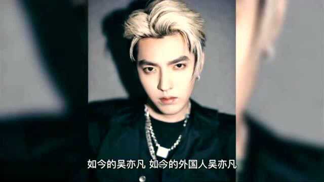 一个吴亦凡,一个画皮光鲜的吴亦凡,如今蹲进了监狱中