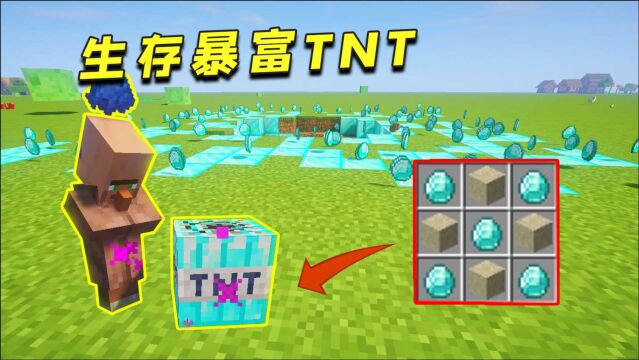 我的世界:生存必备TNT,一颗直接让你暴富!