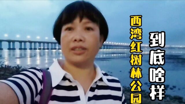 深圳红树林公园长啥样?是海边吗?带你一起去体验