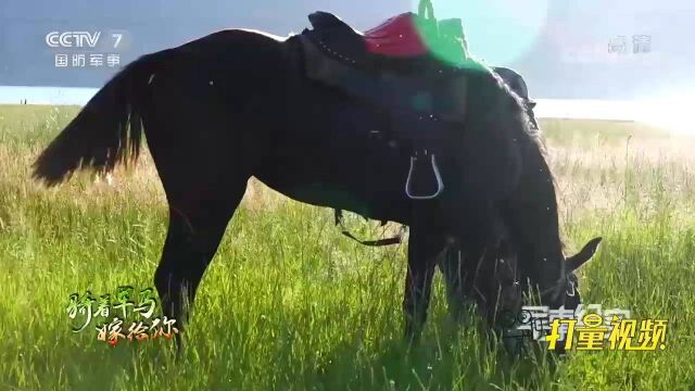 不畏艰险克服重重困难,军嫂成功骑马登山到达哨所