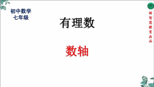 初中七年级数学有理数课程讲解全国通用人教版青岛版沪科版2