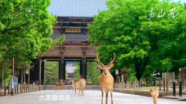 疫情后时代俩情侣鹿自由自在的压马路