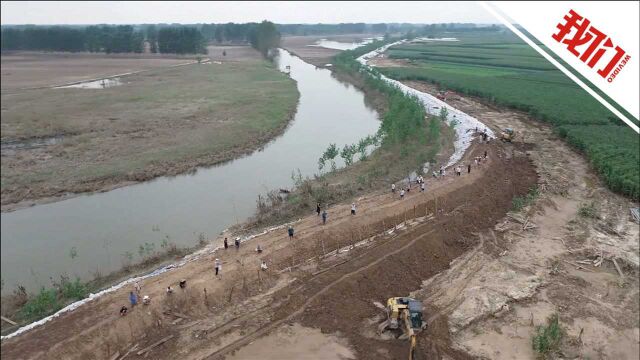 直击河南应对新一轮强降雨:周口贾鲁河下游提前加固河堤