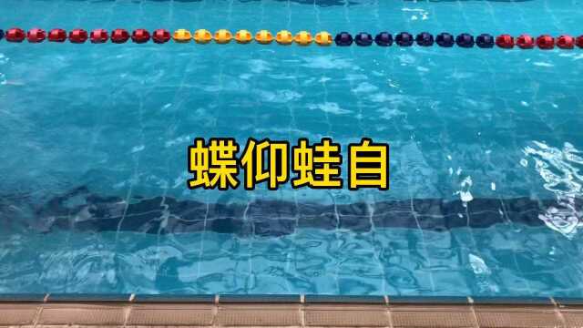 游泳的四种泳姿