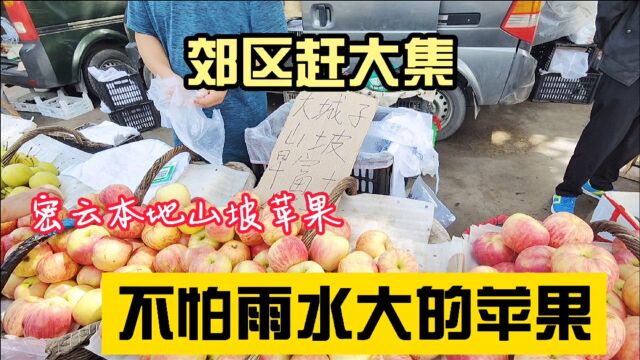 北京郊区大集新水果上市,密云本地坡地苹果,价格便宜有原因