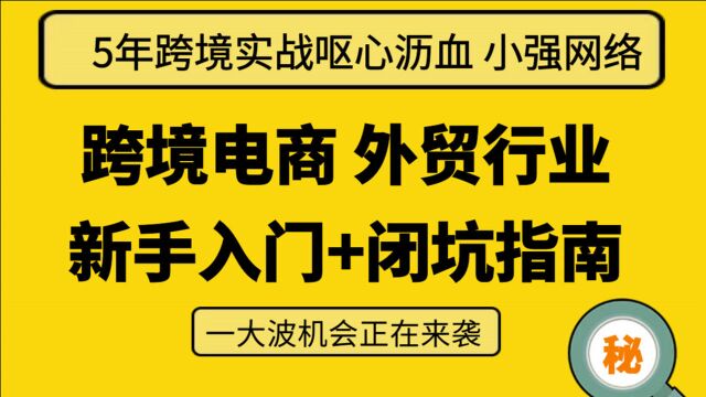 新手做跨境电商 外贸 入门+闭坑指南