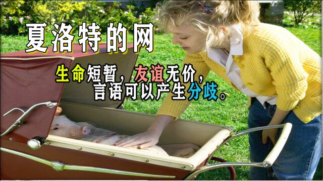 《夏洛特的网》你小时候的夏洛特还在吗?