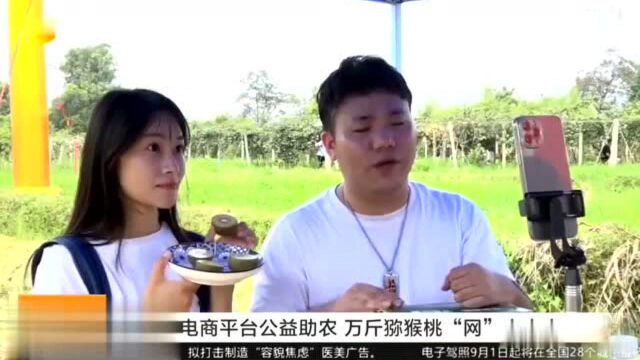 新化:电商平台公益助农万斤猕猴桃“网”出大山