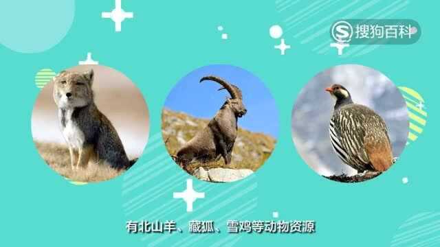 皮山县介绍