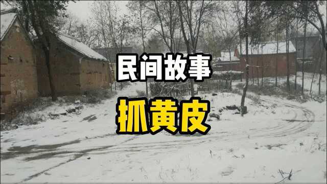 民间故事:农村小伙捕捉黄皮赚了大钱,可是村里人却高兴不起来