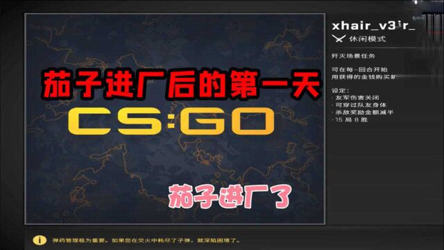 CSGO茄子:当茄子进厂后,丫丫起来了!