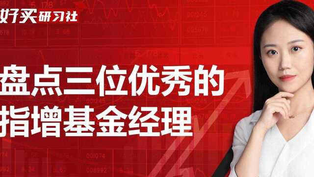 中证500年内回报近20%,有哪些优秀的指增基金经理值得关注?