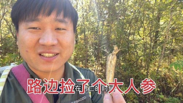 全村人都出动采蘑菇,今天带五个背筐把它采满,出山还捡了个人参