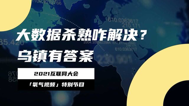 隐私泄露、大数据杀熟这些问题咋解决?乌镇寻找答案