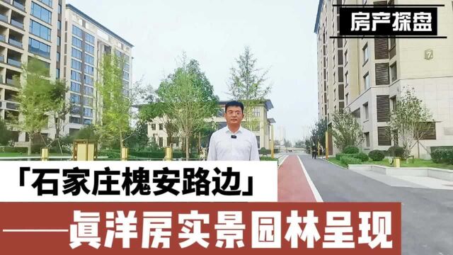 石家庄槐安路旁真洋房,实景现房呈现,感觉这样的小区真不错