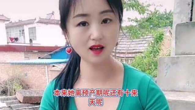 我们村刚刚发生的一件事情