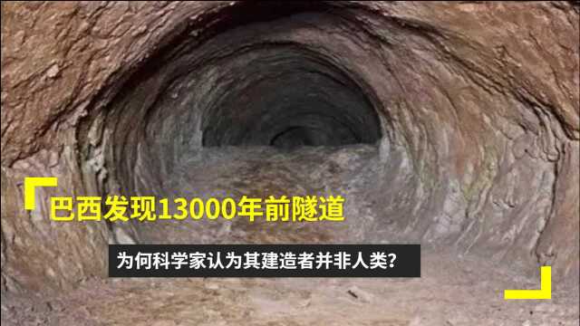 巴西发现13000年前隧道,科学家确认:建造者不是人类