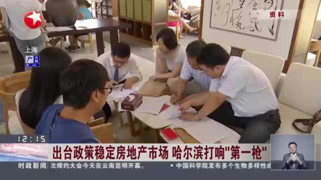 出台政策稳定房地产市场 哈尔滨打响“第一枪” 楼市“双向”调节模式开启