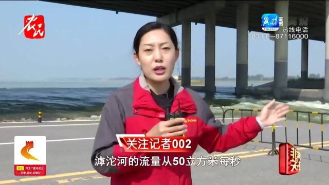 石家庄:滹沱河首次秋季行洪,水位上涨快水流湍急,漫水路被冲毁