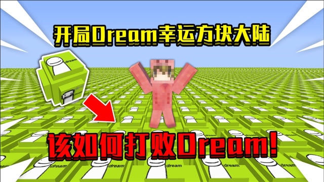 开局在Dream幸运方块大陆!该如何打败Dream!