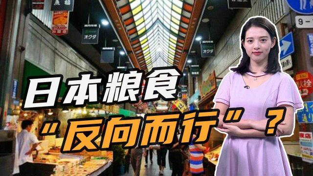 新米价格大跌27%!日本决定扩大大米出口,中国市场或成关键