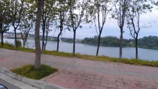 实拍广西柳州环江滨水大道,骑车转一圈,一路都是美景,你来过吗?