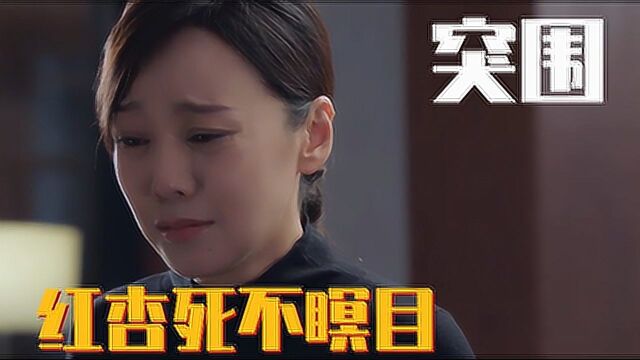 突围结局:齐本安调任集团副董,林满江不甘心逝世,红杏死不瞑目!