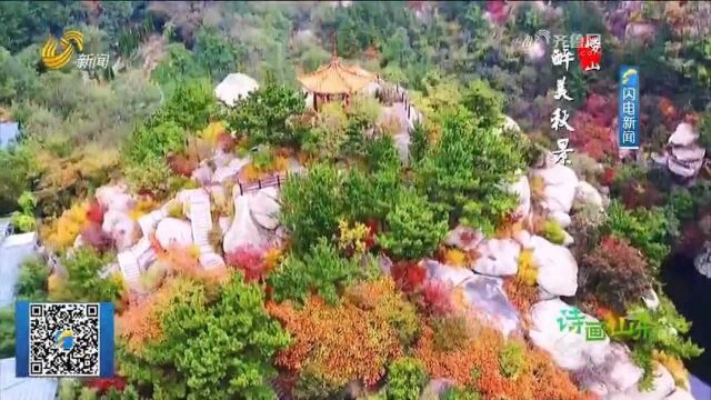 青岛崂山巨峰游览区秋色浓,山峦如海,层林尽染,美不胜收