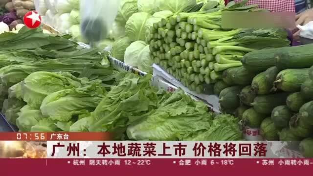 广州:本地蔬菜上市 价格将回落