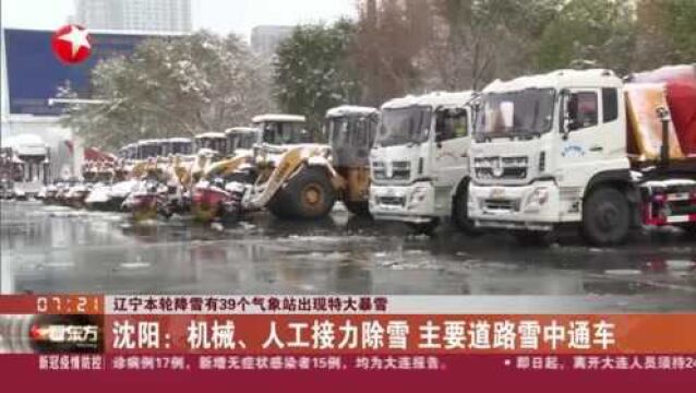 辽宁本轮降雪有39个气象站出现特大暴雪:沈阳——机械、人工接力除雪 主要道路雪中通车