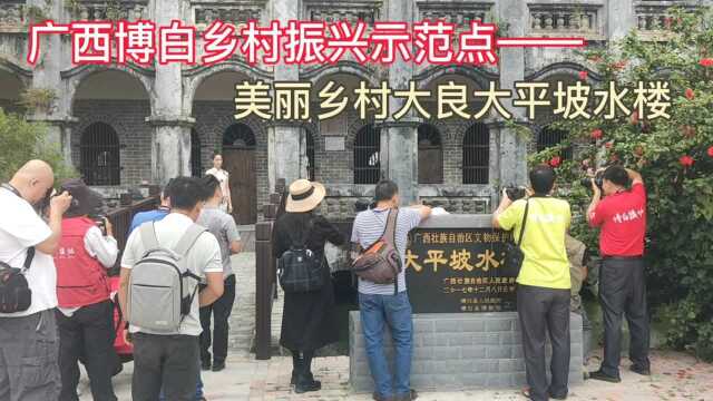 记录乡村振兴古村落变化,广西博白县大良村大平坡水楼真漂亮,吸引了一批又一批的人参观考察